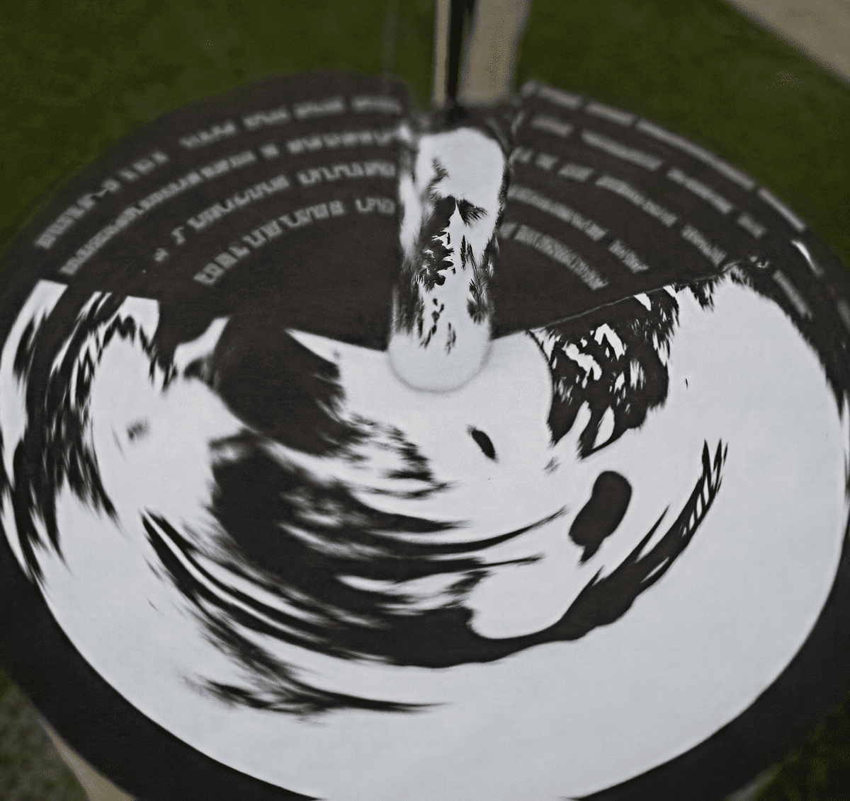 Abstract black and white spiral artwork