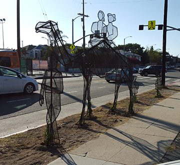 camel-on-main