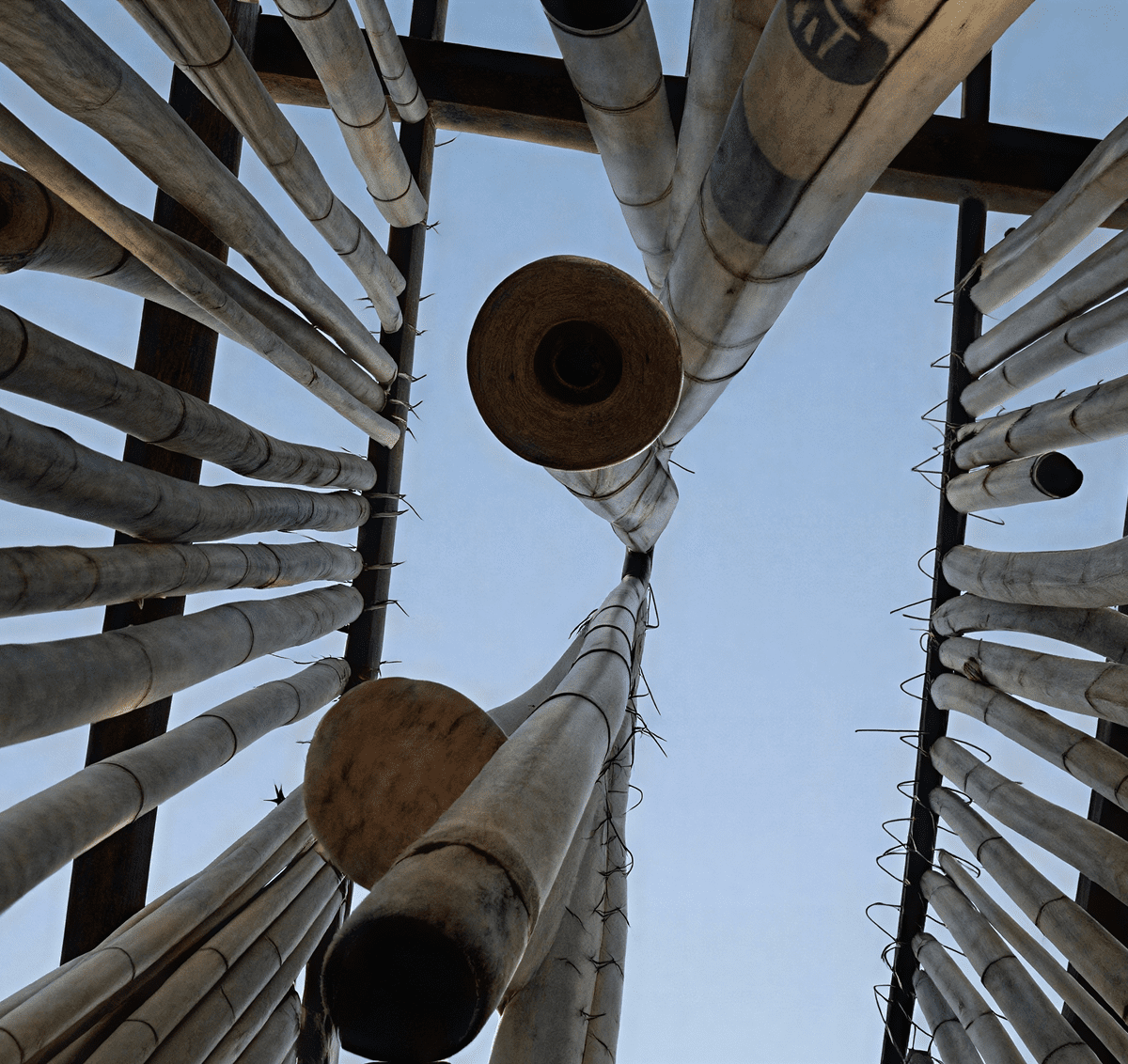 Abstract view of hanging bamboo structures