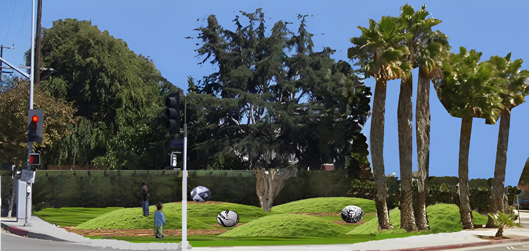 Park with palm trees and grassy area