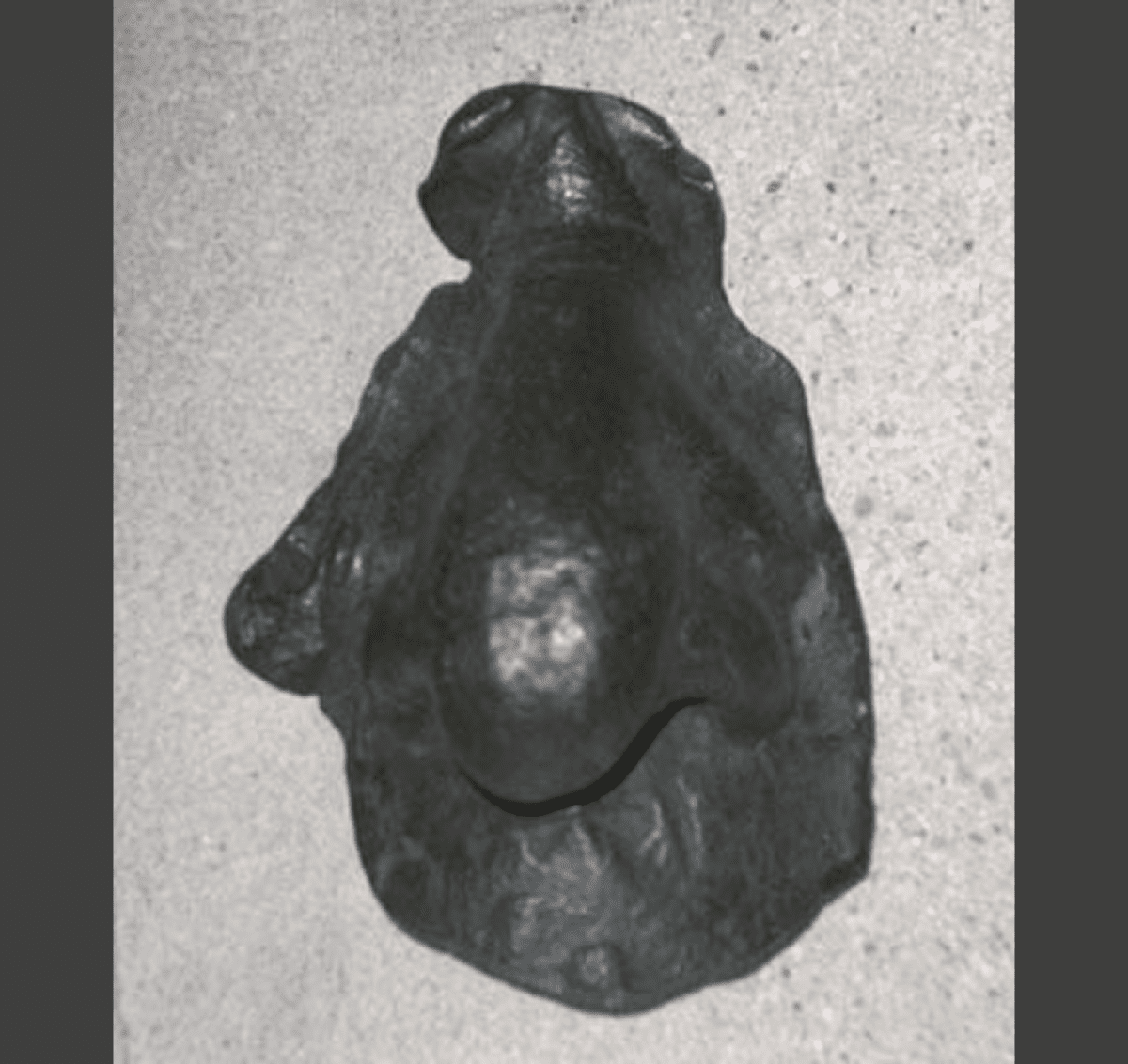 Ancient stone artifact on display