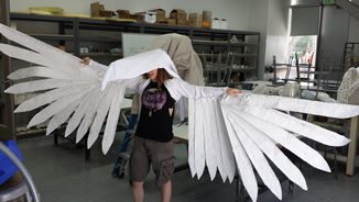 Individual modeling expansive white wings