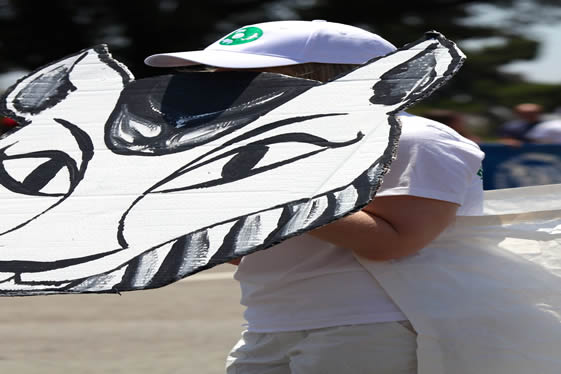 Individual with hand-drawn animal face