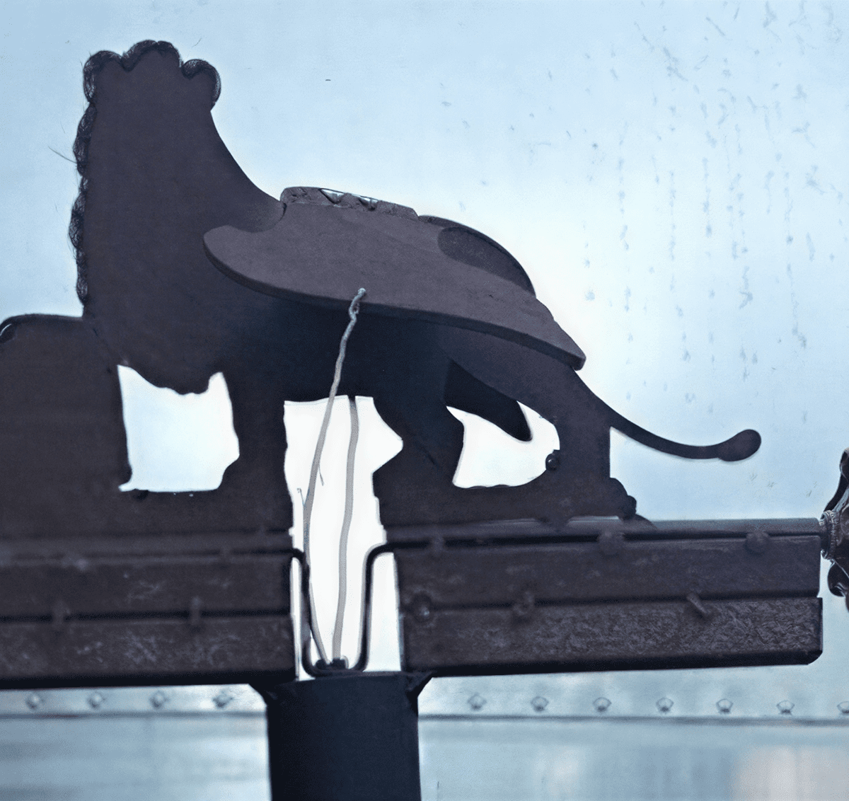 Silhouette of lion on rooftop