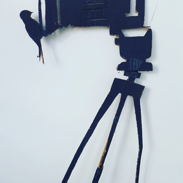 Silhouette of vintage camera with bird perched.