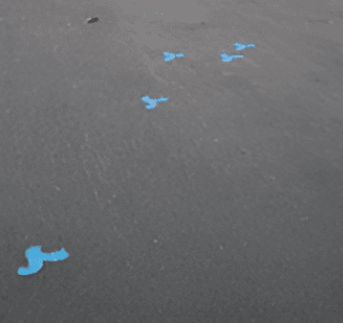 Blue dollar signs scattered on pavement.