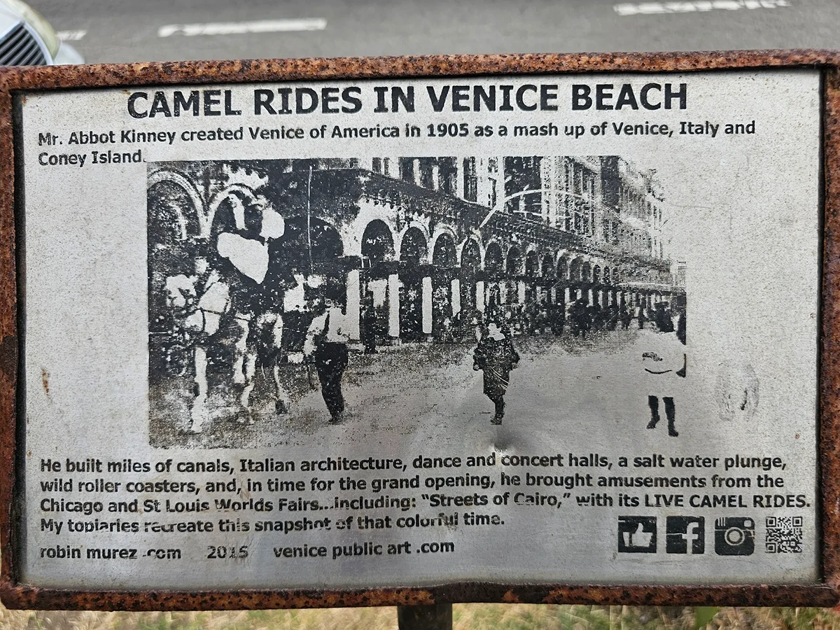 Sign detailing camel rides in Venice Beach.