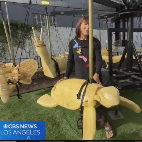 Person standing by yellow turtle carousel