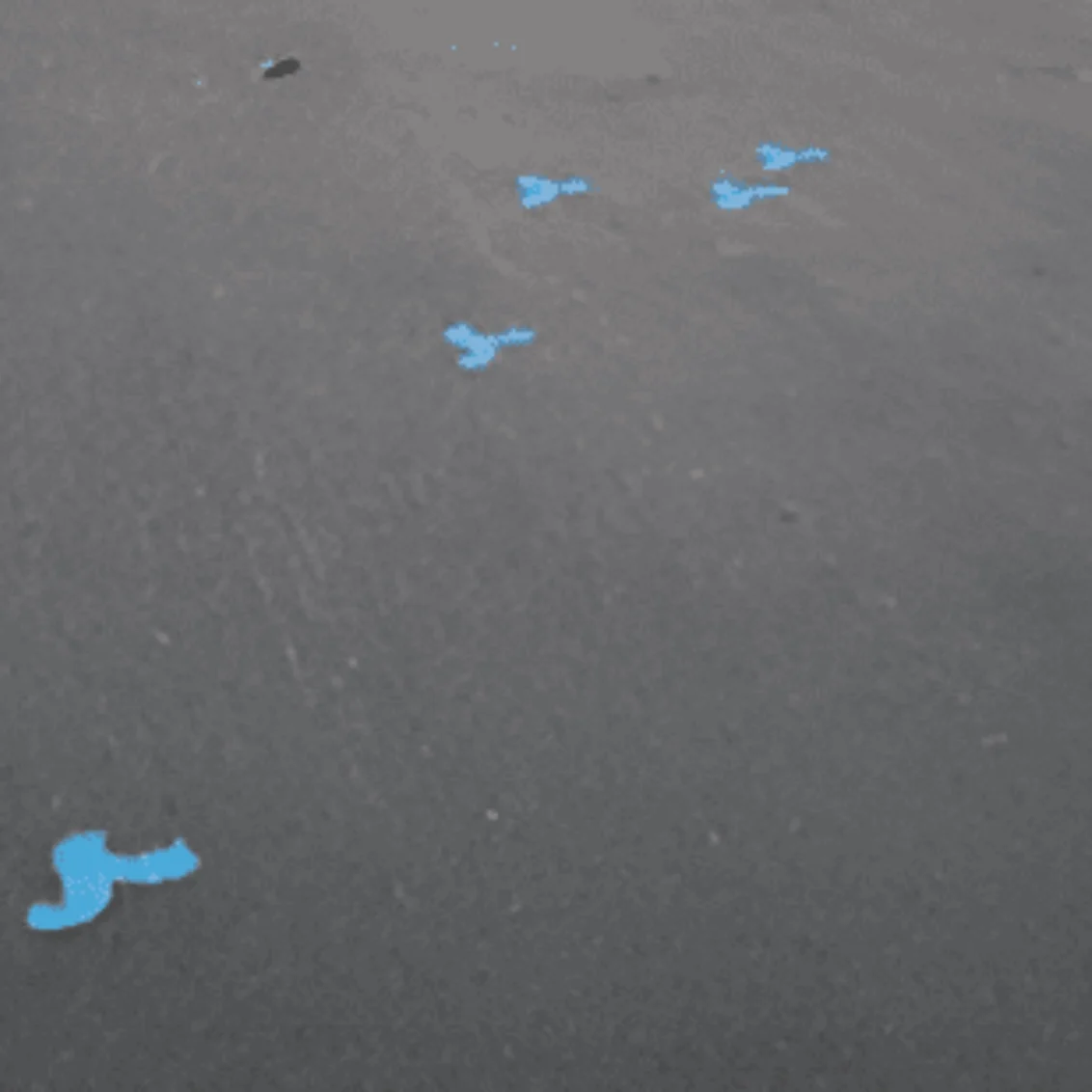 Blue dollar signs scattered on pavement.